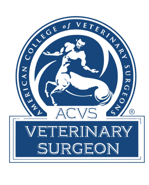 ACVS